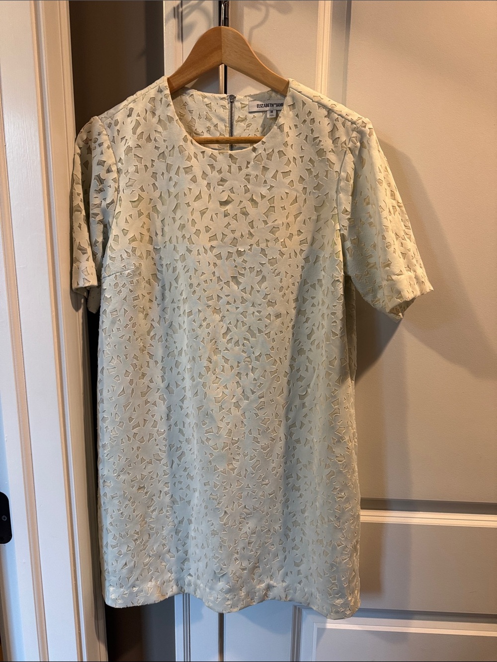 Elizabeth and James Cream Laser-Cut Floral Shift Dress